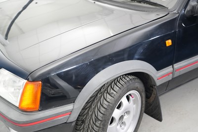 Lot 258 - 1989 Peugeot 205 GTi 1.9