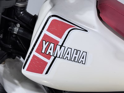 Lot 1982 Yamaha YZ250J