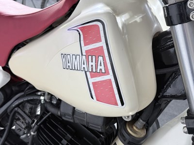 Lot 1982 Yamaha YZ490J