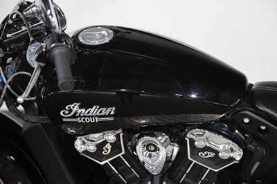 Lot 2020 Indian Scout