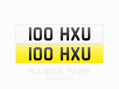 Lot Registration Number 100 HXU